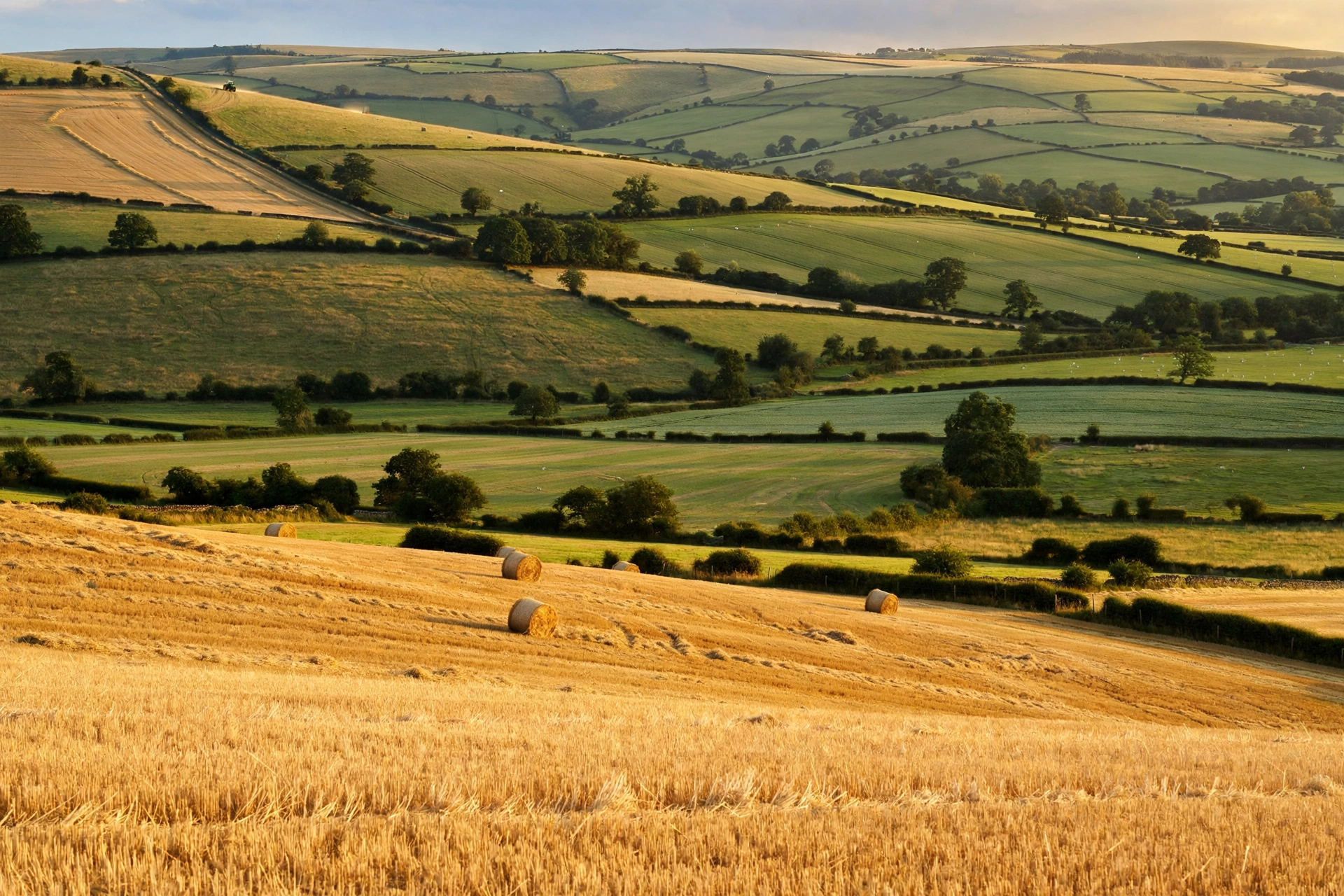 British Farmers and the Supermarket Price Squeeze